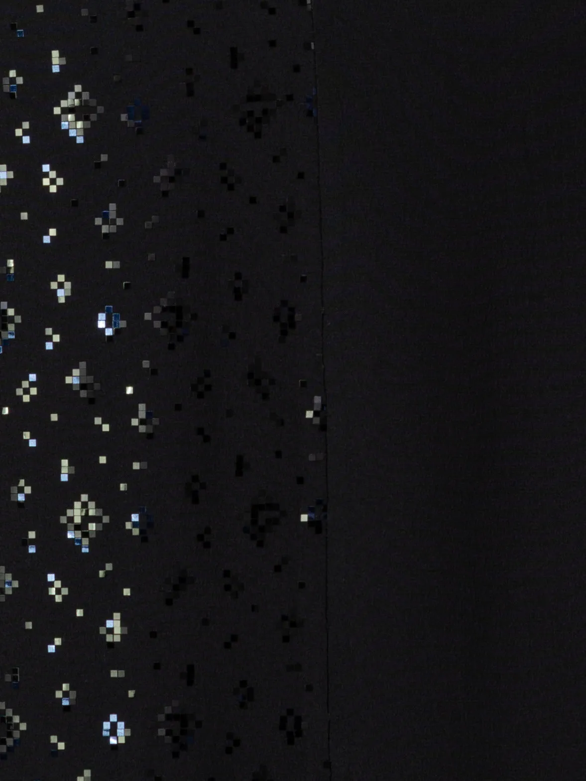 Double-Layer Silk Crêpe Wide Leg Pants with Pixel Foil Embellishment