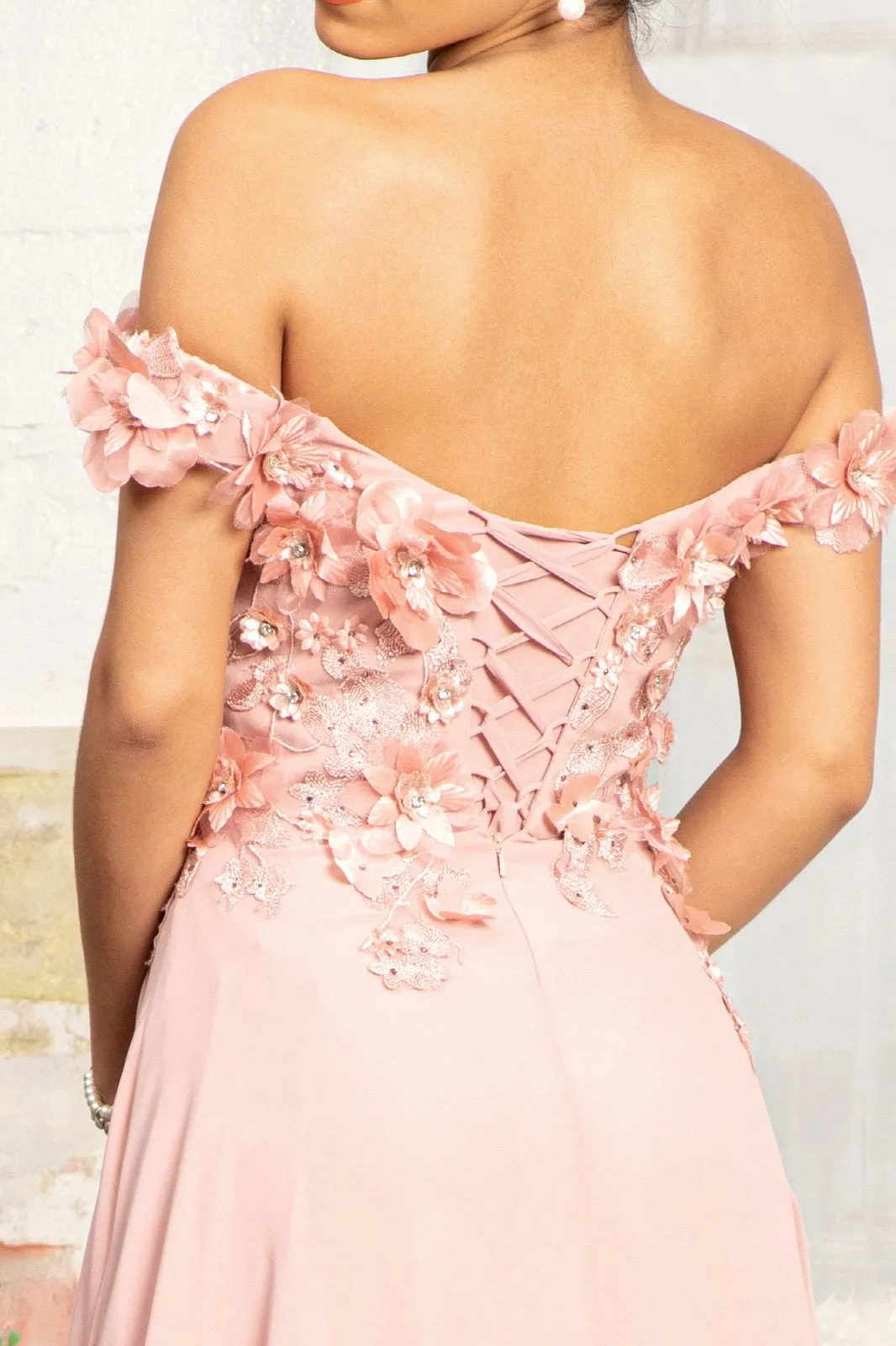 Floral 3D Applique and Embroidery Embellished Bodice A-Line Chiffon Dress GLGL3018