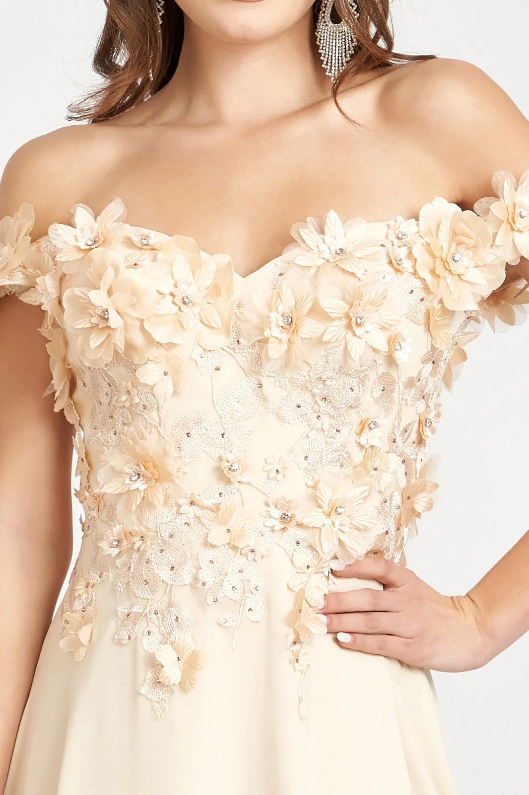 Floral 3D Applique and Embroidery Embellished Bodice A-Line Chiffon Dress GLGL3018