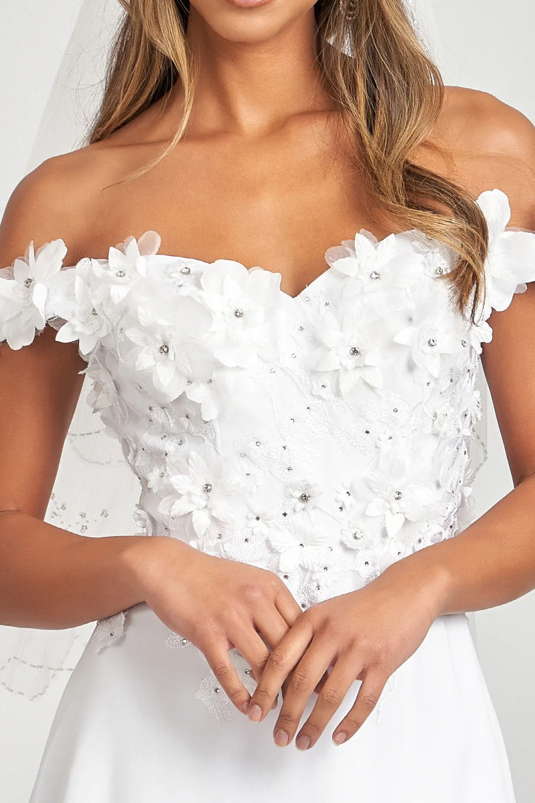 Floral 3D Applique and Embroidery Embellished Bodice A-Line Chiffon Dress GLGL3018