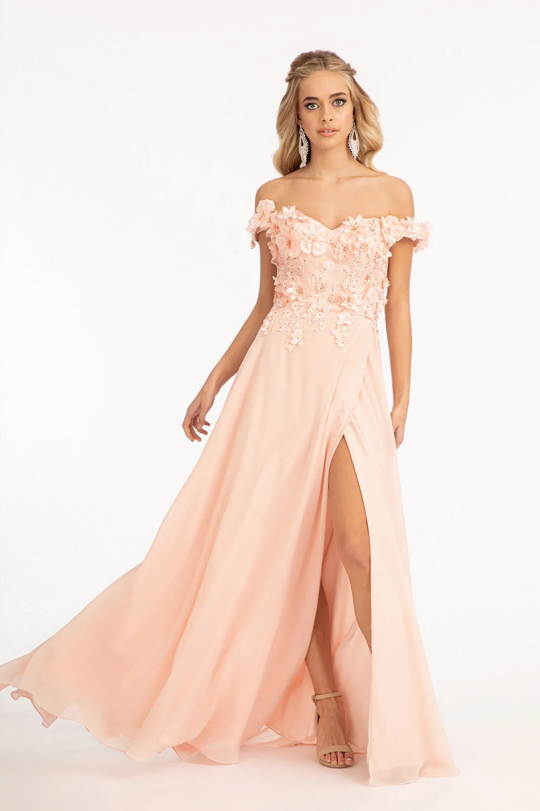 Floral 3D Applique and Embroidery Embellished Bodice A-Line Chiffon Dress GLGL3018