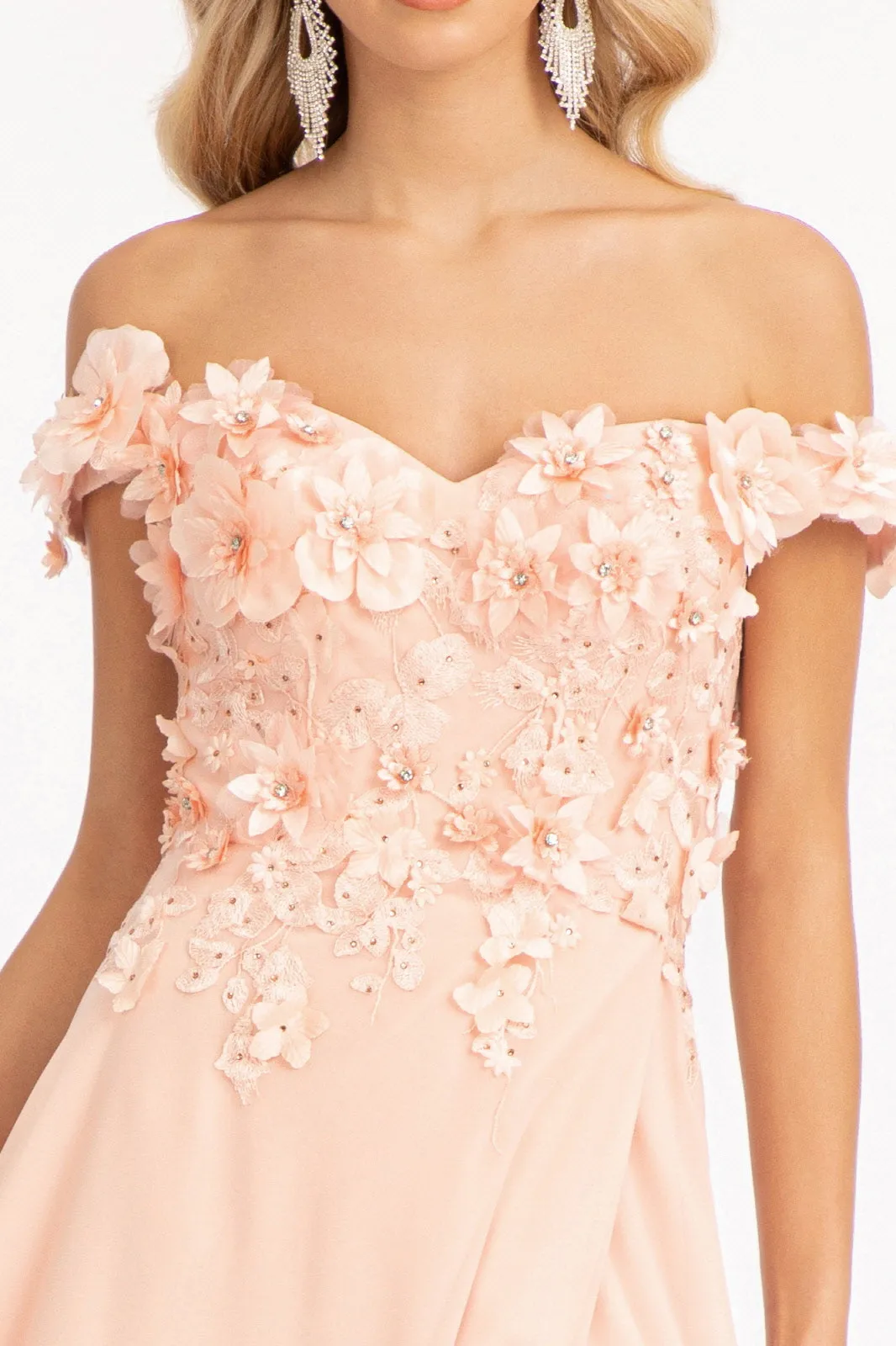 Floral 3D Applique and Embroidery Embellished Bodice A-Line Chiffon Dress GLGL3018