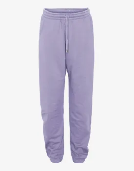 Organic Sweatpants - Purple Jade