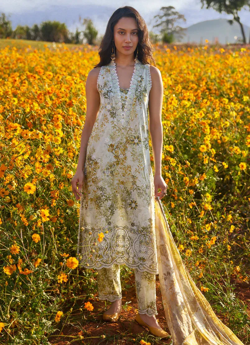 Spring Printkari ¢24 - Sabeen